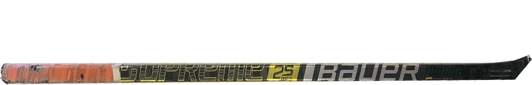 Meet Your Integral Hockey Expert